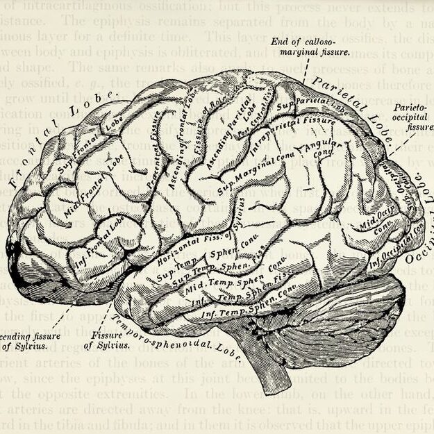 Psychology: Community Projects