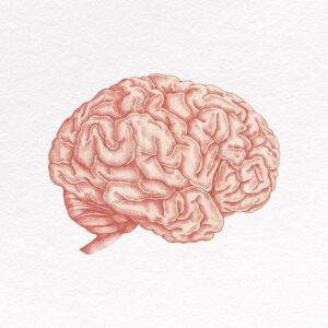 Neuroscience: Community Projects
